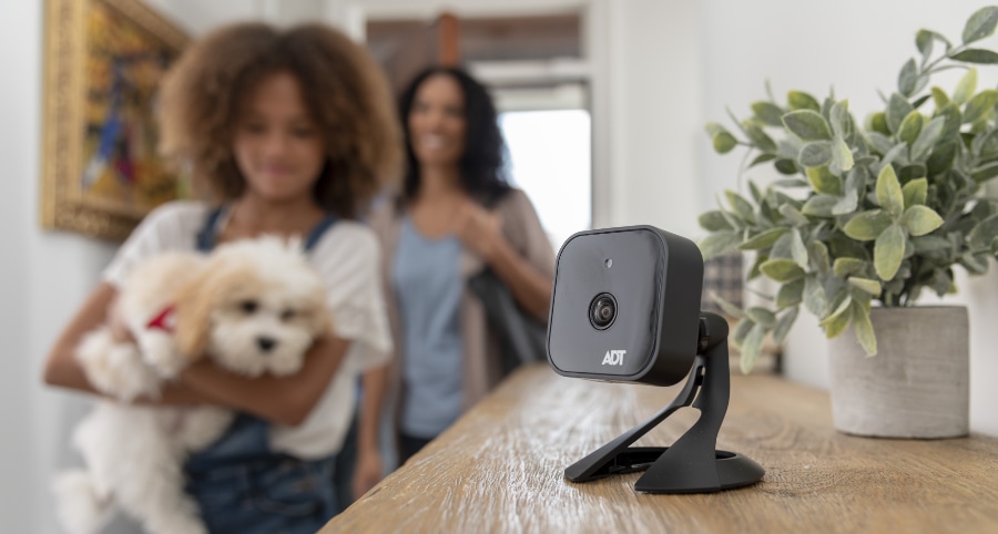 Modesto home security camera